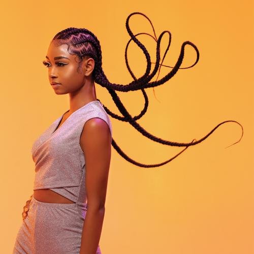 Sensationnel X - pression Pre - stretched Synthetic Braid - 6X 48" - Braids and Wigs