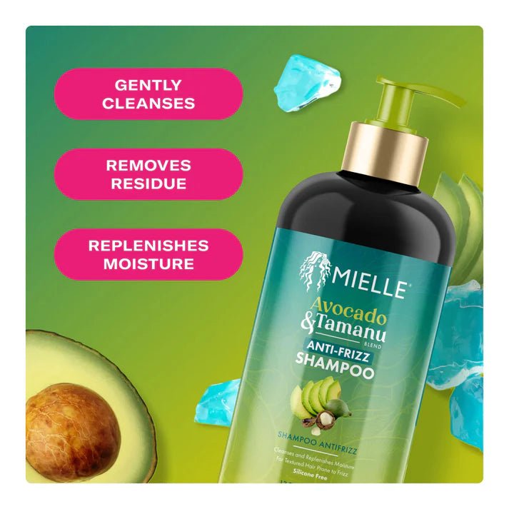 Mielle Avocado & Tamanu Anti Frizz Shampoo (12oz) - Braids and Wigs
